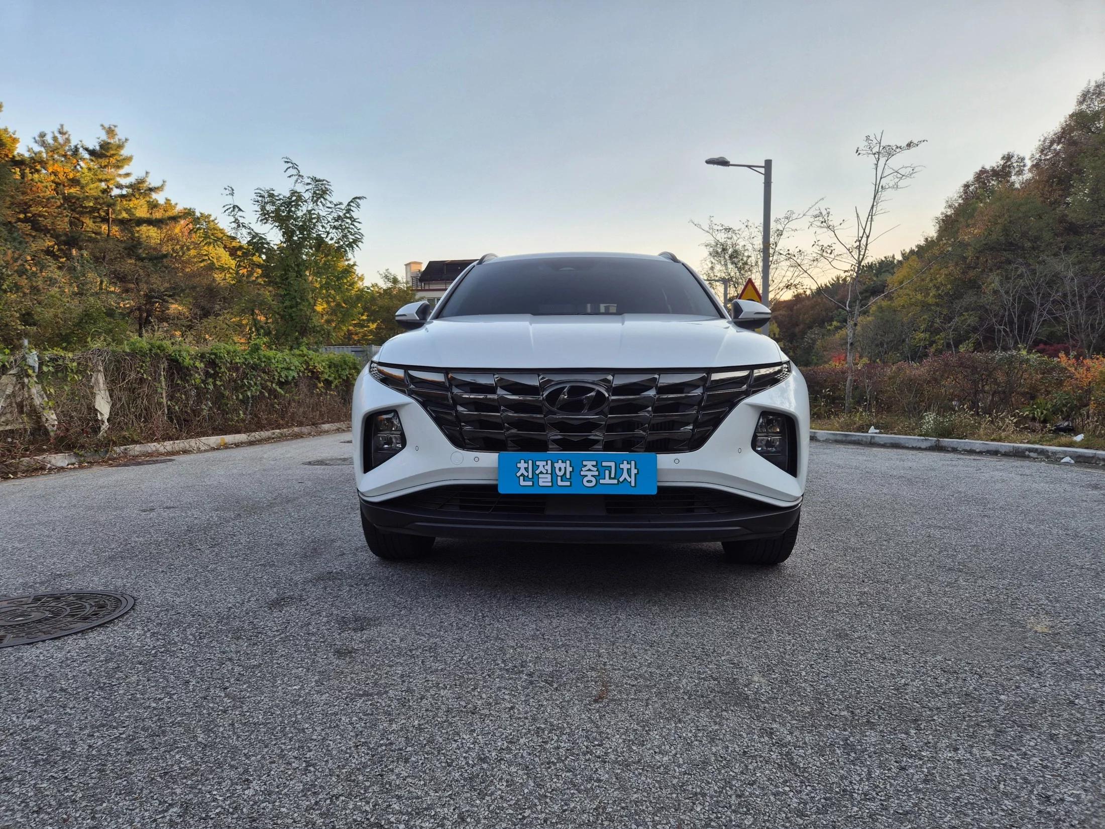 Hyundai Tucson Diesel 2.0 2WD Premium, 2021 г. 96836 км.